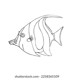 Vector hand drawn doodle sketch angel fish isolated on white background