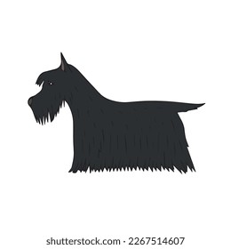 Vector hand drawn doodle sketch colored Scottish terrier dog isolated on white background