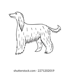 Vector hand drawn doodle sketch Afghan hound dog isolated on white background