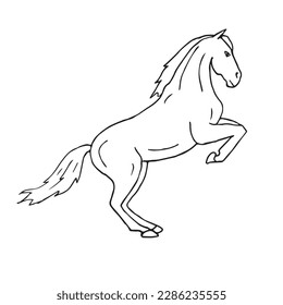 Caballo de dibujo de doodle dibujado a mano del vector aislado en fondo blanco
