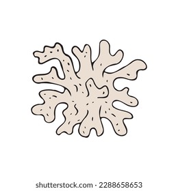 Vector hand drawn doodle sketch colored coral isolated on white background