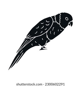 Vector hand drawn doodle sketch black lory parrot isolated on white background