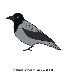 Vector hand drawn doodle sketch colored crow isolated on white background