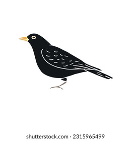 Vector hand drawn doodle sketch black catbird bird isolated on white background