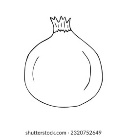 Vector hand drawn doodle sketch pomegranate isolated on white background