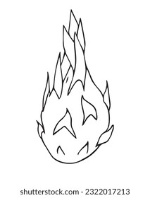 Fruto del dragón dibujado a mano en el dibujo del doodle aislado en fondo blanco