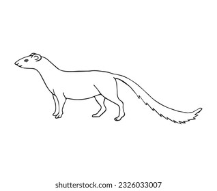 Vector hand drawn doodle sketch mongoose isolated on white background