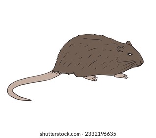 Vector hand drawn doodle sketch colored nutria isolated on white background