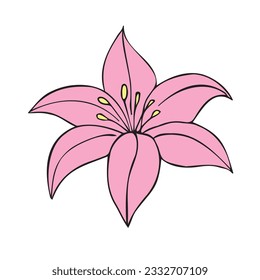 Vector hand drawn doodle sketch pink Lilly flower isolated on white background