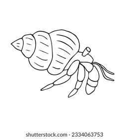 Vector hand drawn doodle sketch hermit crab isolated white background