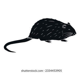 Vector hand drawn doodle sketch black nutria isolated on white background