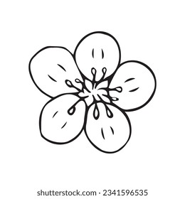 Vector hand drawn doodle sketch sakura flower isolated on white background