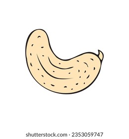 Anuncio de doodle dibujado a mano del vector de nuez de cajú de color aislado en fondo blanco