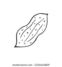 Pieza de cacahuete del doodle dibujado a mano del vector aislada en fondo blanco