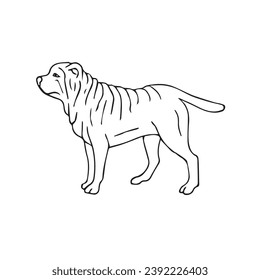 Vector hand drawn doodle sketch Shar Pei dog isolated on white background