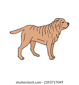 Dibujo del doodle dibujado a mano del vector perro Shar Pei aislado en fondo blanco