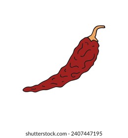 Vector hand drawn doodle sketch colored dried chili pepper isolated on white background