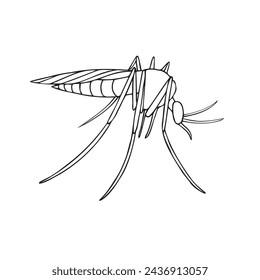 Vector hand drawn doodle sketch outline mosquito isolated on white background