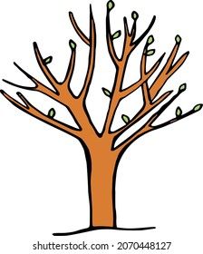 
Hojas de garabato dibujadas a mano vectorial, árbol vectorial joven, doodle de color de un árbol