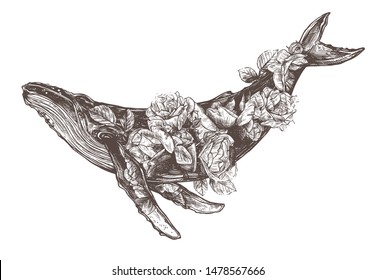 Vector hand drawn double exposure illustration of  humpback whale and roses flowers. Sketch detailed engraving style, creative, magical and surreal idea for tattoo or print