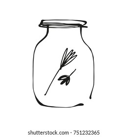 Vector, hand drawn, drawing, vessel, bank, plants, magic, cute, sketch, gold, floral.
