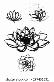 vector hand drawn dry brush only contour  lotus set