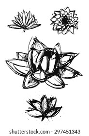 vector hand drawn dry brush only contour  lotus set