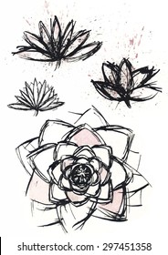 vector hand drawn dry brush  lotus set with paint splash