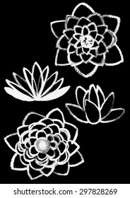 vector hand drawn dry brush only contour  lotus set