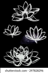 vector hand drawn dry brush only contour lotus set