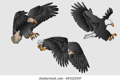 Vector hand drawn eagle flying