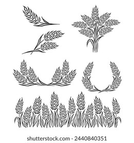 Vector hand drawn ears of wheat. Cereal illustrations wheat grain, granules, kernels, corn, rye, barley, oats, rice, buckwheat, grass, bran