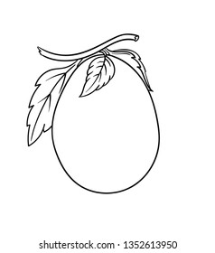 Vector hand drawn eggplant plant in black outline . Black stroke fruit .Vector detailed vegetable Illustration isolated on background. Detailed vector sketch plum