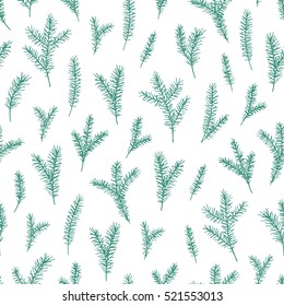 Vector hand drawn elegant minimalist spruce