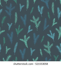 Vector hand drawn elegant minimalist spruce