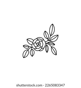 Vector hand drawn element isolated on white background. Rose