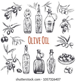 Vector hand drawn engraved illustration of olive branches with olive fruits and bottles of olive oil with herbs. Sketch vintage style.