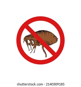 Vector hand drawn engraved  isolated illustration of flea, animal parasite. Prohibited insect, stop, warning, forbidden, no, ban bug sign. Detailed vintage etching style drawing.