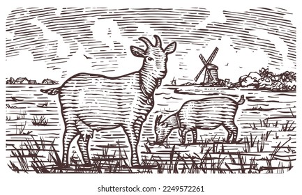 Vector hand drawn engraving illustration of countryside with farm, windmill and grazing goats