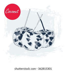 vector hand drawn exotic coconut cocktail. vintage illustration