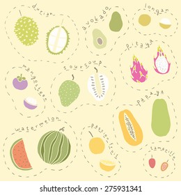 Vector hand drawn exotic fruits set 1