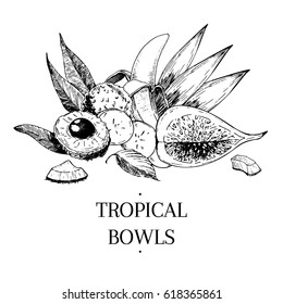 Vector hand drawn exotic fruits. Engraved smoothie bowl ingredients. Tropical sweet food. Lychee, banana, fig, coconut. Use for exotic restaurant food partty