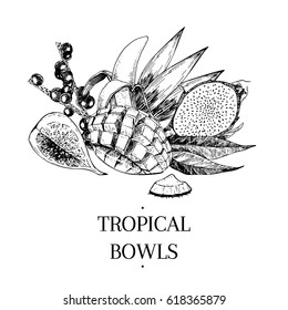 Vector hand drawn exotic fruits. Engraved smoothie bowl ingredients. Tropical sweet food. Fig, acai, mango, banana, pitaya, coconut. Use for exotic restaurant food party