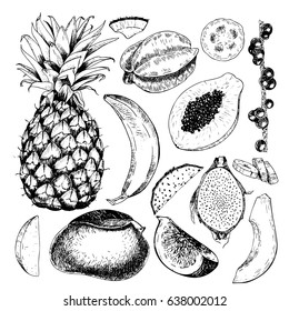 Vector hand drawn exotic fruits. Engraved smoothie bowl ingredients. Tropical sweet food. Pineapple, papaya, fig, mango, banana, acai, pitaya, coconut Use for exotic restaurant food party