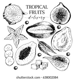 Vector hand drawn exotic fruits. Engraved smoothie bowl ingredients. Tropical sweet food delivery. Pitaya, carambola, papaya, mango, fig, acai, guava. Use for exotic restaurant food party