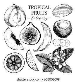 Vector hand drawn exotic fruits. Engraved smoothie bowl ingredients. Tropical sweet food delivery. Guava, fig, coconut, orange, banana, papaya, pitaya. Use for exotic restaurant food party