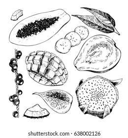 Vector hand drawn exotic fruits. Engraved smoothie bowl ingredients. Tropical sweet food. Papaya, acaci, guava, pitaya, fig, mango, banana, coconut Use for exotic restaurant food party