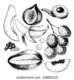 Vector hand drawn exotic fruits. Engraved smoothie bowl ingredients. Tropical sweet food. Papaya, fig, lychee, acai, mango. Use for exotic restaurant food party
