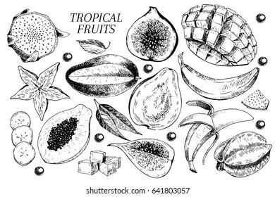 Vector Hand Drawn Exotic Fruits. Engraved Smoothie Bowl Ingredients. Tropical Sweet Food. Carambola, Guava, Papaya, Fig, Mango, Banana, Acai, Pitaya, Lychee Use For Exotic Restaurant Food Party