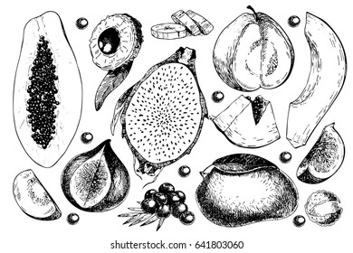Vector hand drawn exotic fruits. Engraved smoothie bowl ingredients. Tropical sweet food. Carambola, guava, papaya, fig, mango, banana, acai, pitaya, lychee Use for exotic restaurant food party
